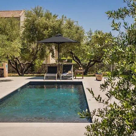 فيلة Virginia سفوروناتا